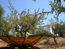 Carica l'immagine nel visualizzatore di Gallery, Mandorle Sgusciate - Varietà Tuono sacchetto da 1/2 kg