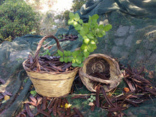 Carica l'immagine nel visualizzatore di Gallery, Carrube della masseria