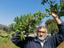 Carica l'immagine nel visualizzatore di Gallery, Mandorle Sgusciate - Varietà Tuono sacchetto da 1/2 kg