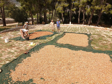 Carica l'immagine nel visualizzatore di Gallery, Mandorle Sgusciate - Varietà Tuono sacchetto da 1/2 kg