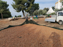 Carica l'immagine nel visualizzatore di Gallery, Mandorle Sgusciate - Varietà Tuono sacchetto da 1/2 kg