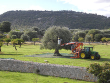 Carica l'immagine nel visualizzatore di Gallery, Olio Extravergine di Oliva biologico - lattine da 0,5 litri