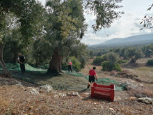 Carica l'immagine nel visualizzatore di Gallery, Olio extra vergine di oliva biologico - lattine da 0,250 litri