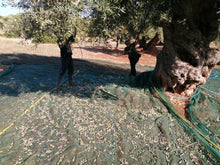 Carica l'immagine nel visualizzatore di Gallery, Olio Extravergine di Oliva biologico - lattine da 5 litri