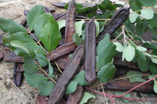 Load image into Gallery viewer, Carob of the farm 500 gr.
